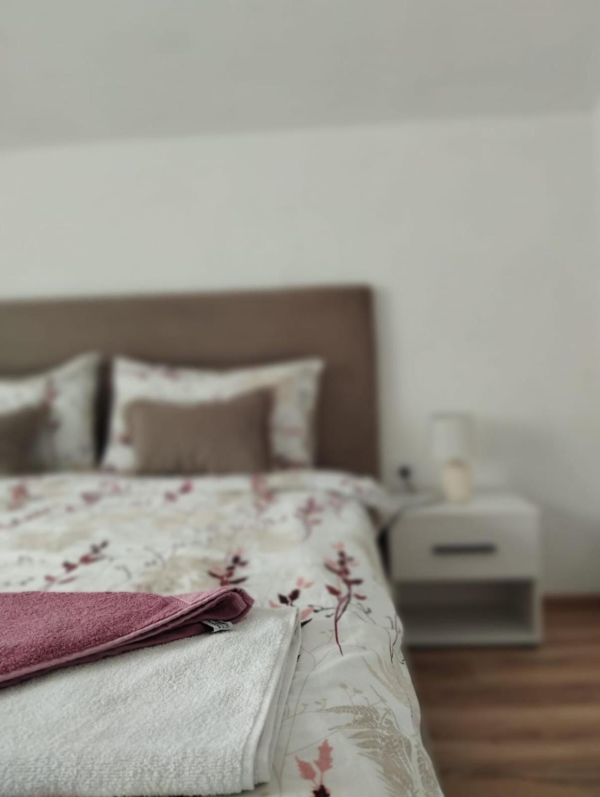 Apartment La Casa プルジネ エクステリア 写真