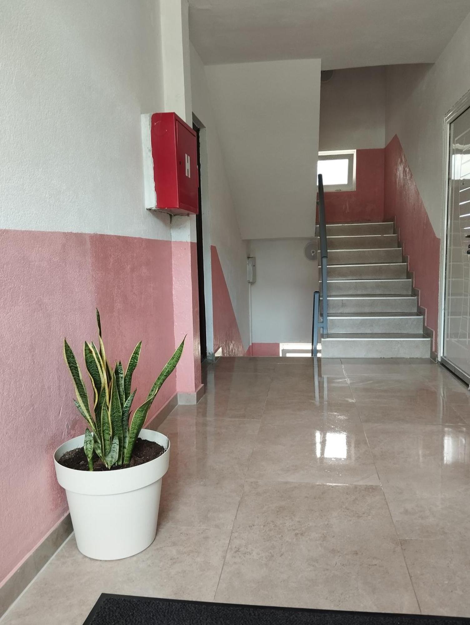 Apartment La Casa プルジネ 部屋 写真
